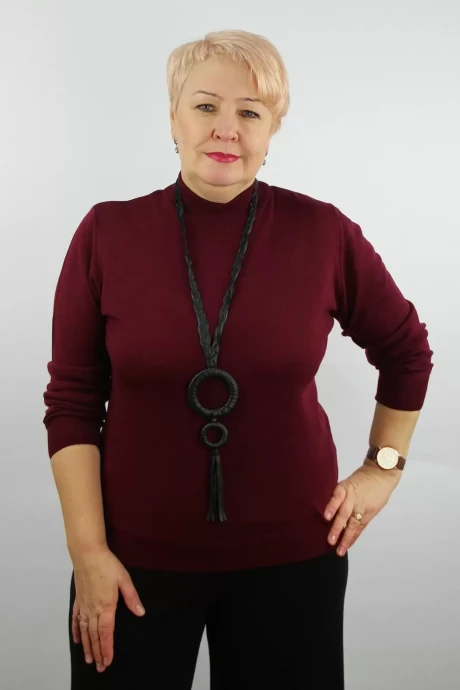 Джемпер (кофта) Полесье С3731-23 3С8783-Д43 158,164 бургундский #1