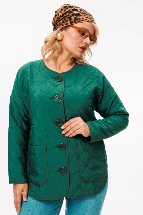 Стеганая куртка *Распродажа Anastasia 1138 бутылка #1