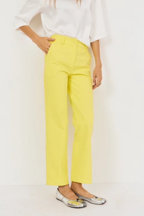 Брюки The name 2483 лимон #1