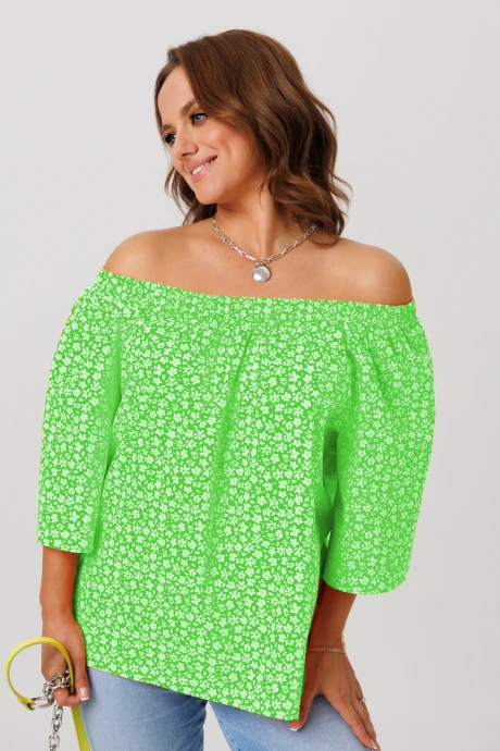 Блузка Anastasia 1251.1 травяной #1